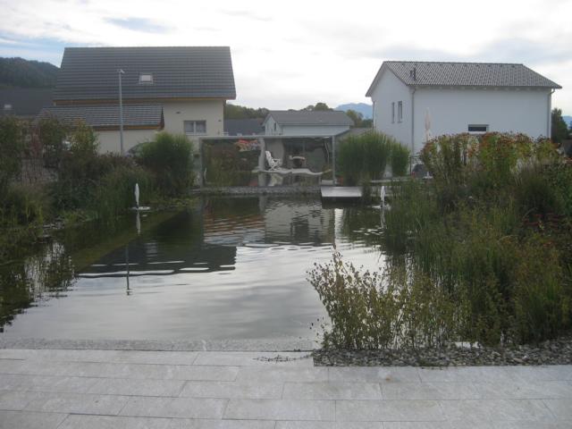 kleiner Schwimmteich